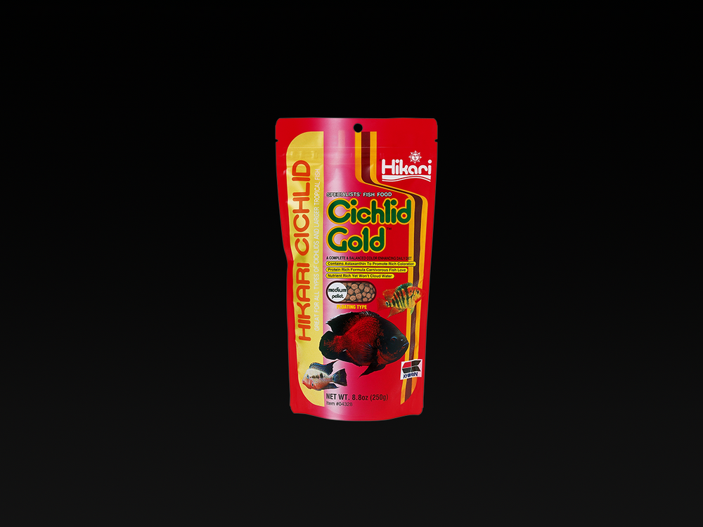 Hikari Cichlid Gold - Medium