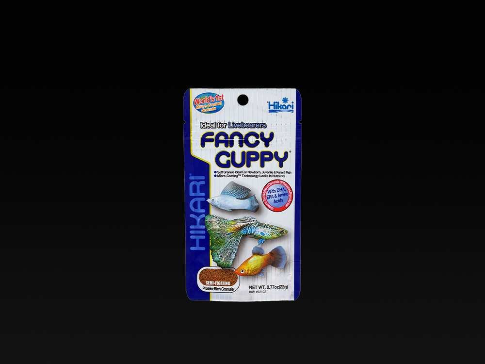 Hikari Fancy Guppy