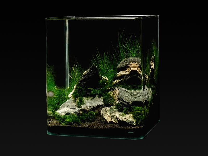 Me My Tank Cube