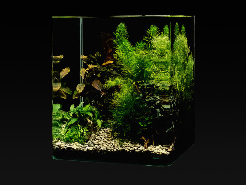 me Aquaristic My Tank Start