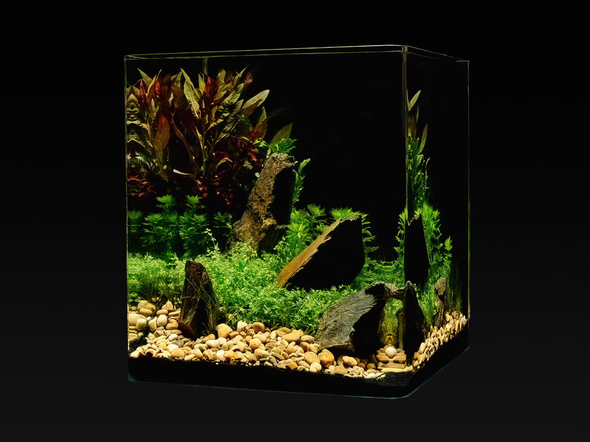 me Aquaristic My Tank Start