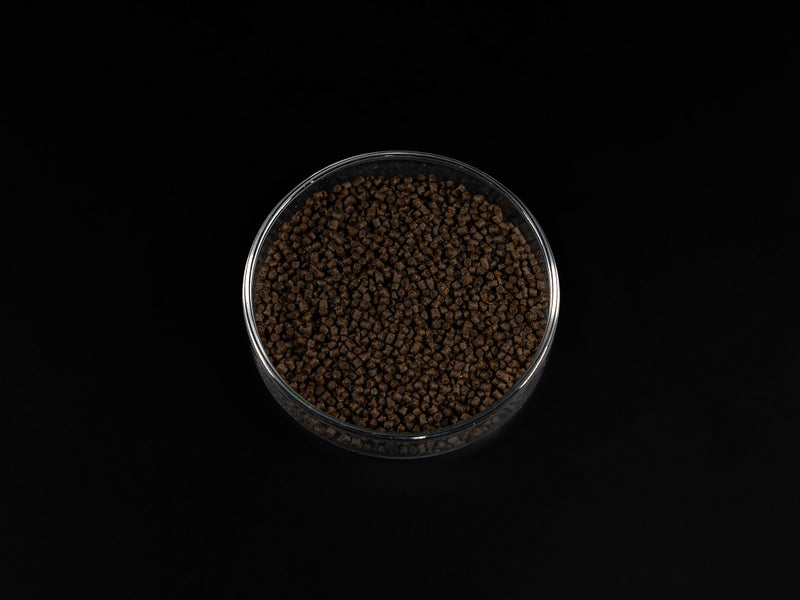 Biofish food CHLORELLA