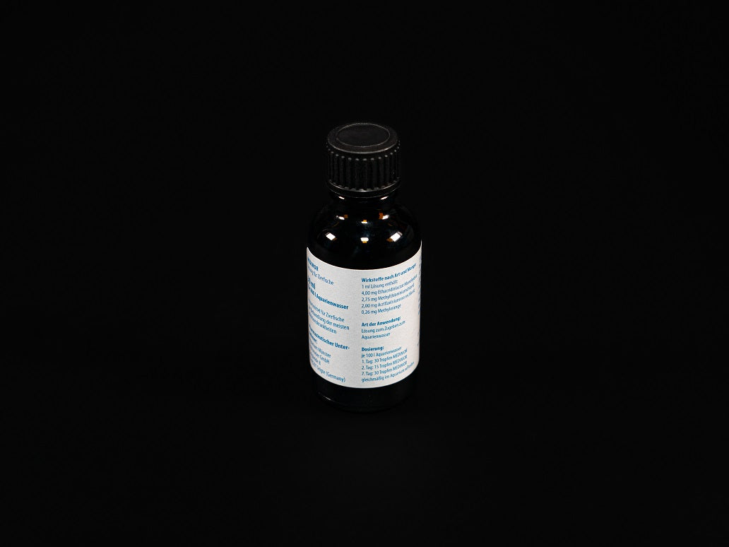 MEDIMOR