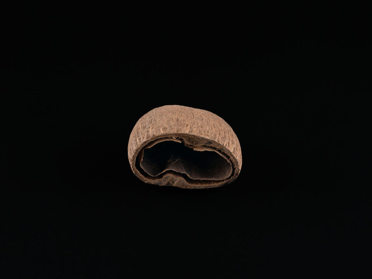 Kokopods
