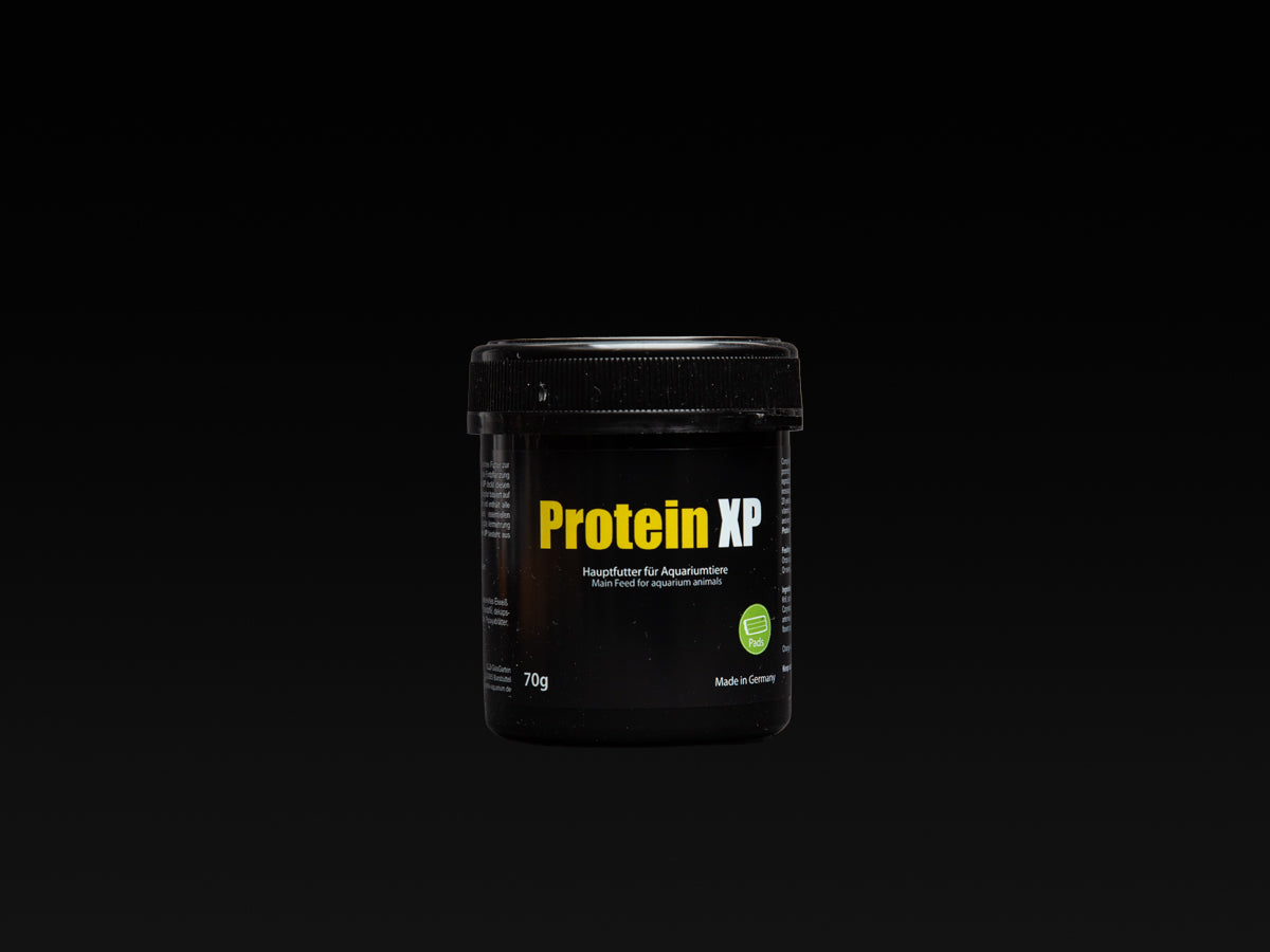 Protein XP