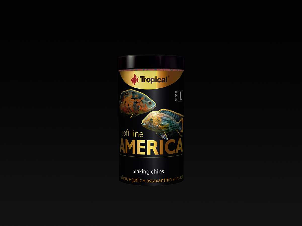 Soft Line America L