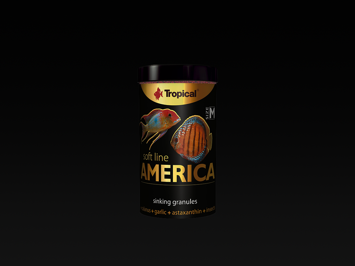 Soft Line America M