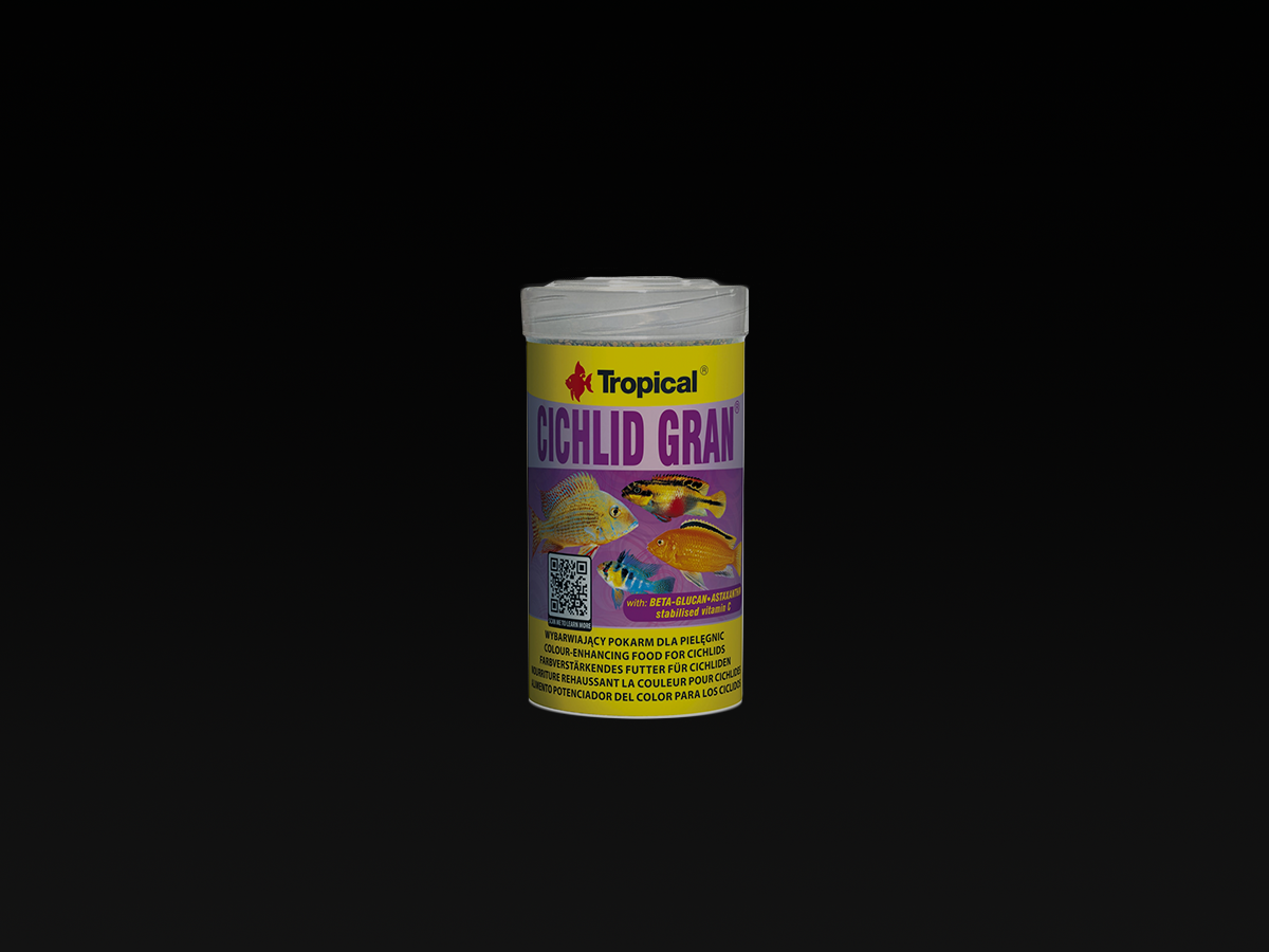 Cichlid Gran